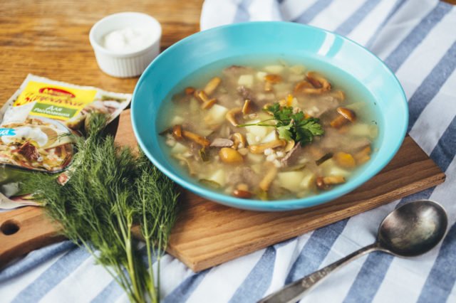 Суп з маринованих опеньків: покрокові рецепти приготування з фото