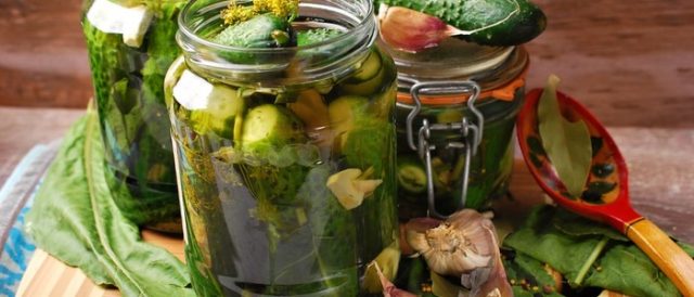 Огірки під горілочку на зиму: покрокові рецепти з фото салатів, засолювання, маринування