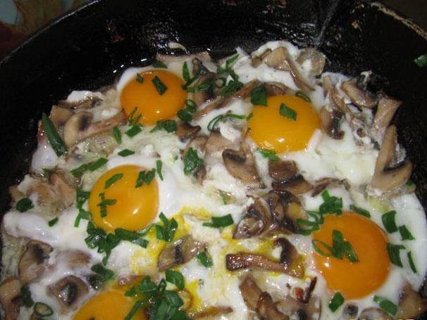 Яйця з опеньками: як посмажити і нафарширувати, рецепти приготування з фото