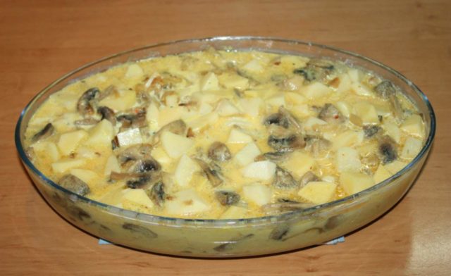 Як приготувати опеньки з картоплею і сметаною: рецепти смажених грибів