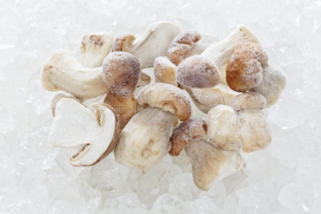 Як заморожувати білий гриб на зиму: підготовка і заморожування, зберігання
