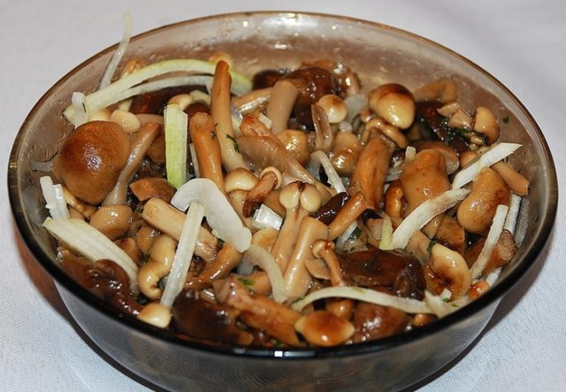 Рецепти опеньків в мультиварці: як смачно приготувати свіжі та заморожені гриби