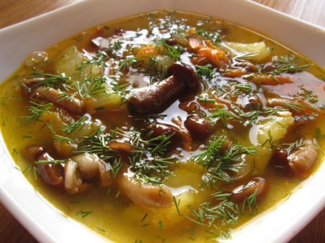 Рецепти грибного супу з заморожених опеньків: як зварити, секрети приготування
