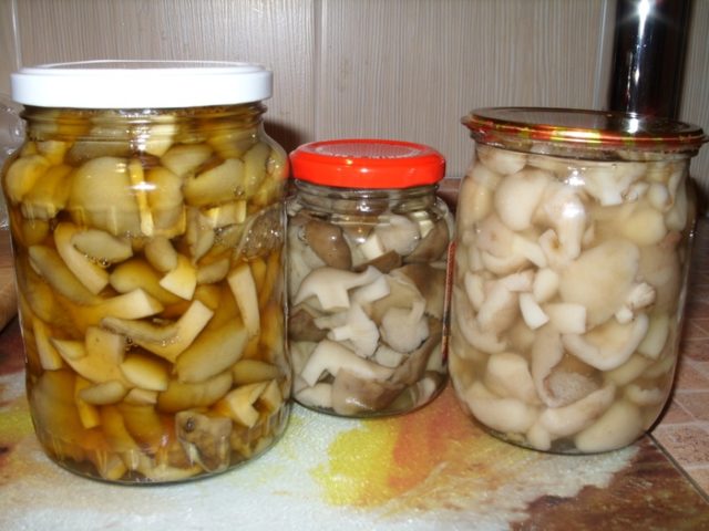 Як приготувати обабки на зиму: рецепти приготування грибів з фото