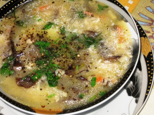 Суп зі свіжих опеньків: рецепти з фото, як смачно приготувати
