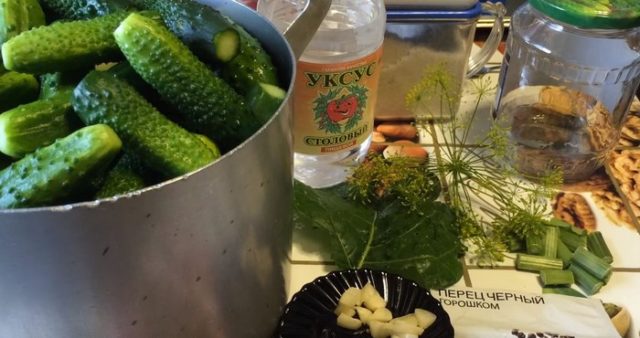 Огірки, мариновані як в магазині (магазинні): покрокові рецепти з фото засолювання хрустких корнішонів на зиму, відео