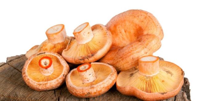 Смажені гриби на зиму в банках: як приготувати, рецепти заготовок