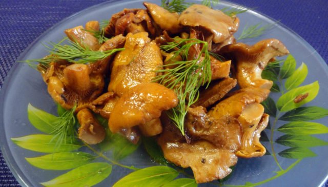 Як готувати сушені лисички: рецепти страв із сухих грибів
