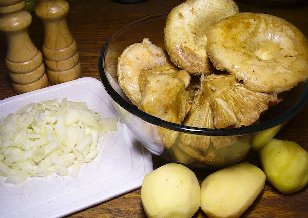 Груздянка: рецепти з солоних груздів з картоплею, на мясному бульйоні, фото