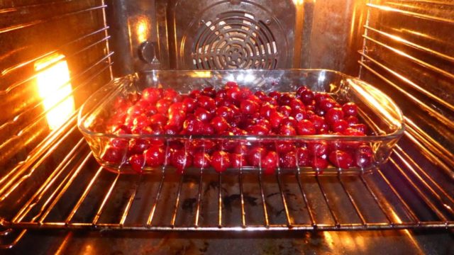 Вишня на коньяку: скільки градусів, покрокові рецепти приготування вишневої настоянки в домашніх умовах