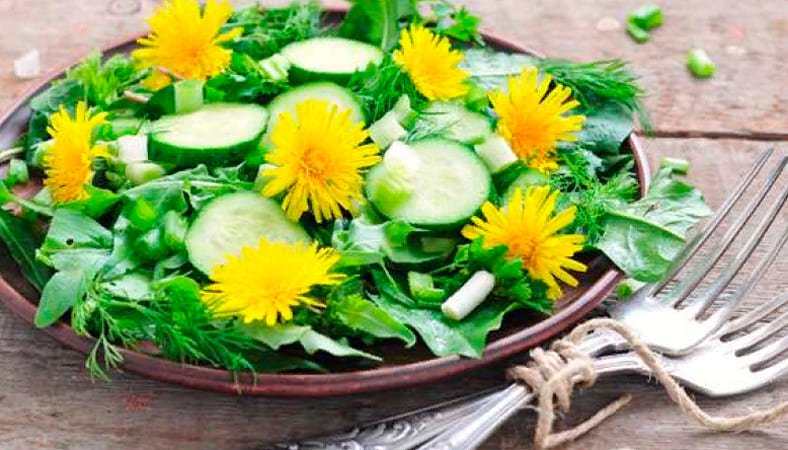 ТОП 6 рецептів салату з кульбаб