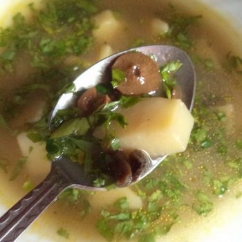 Грибний суп з печериць з картоплею і вермішеллю: як приготувати з куркою, з свіжих, заморожених грибів, калорійність