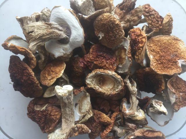Підлива з білих грибів: як приготувати з сушених, заморожених і свіжих грибів, рецепти