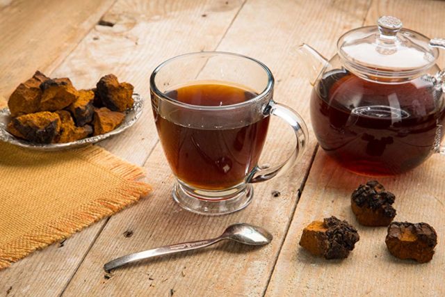 Чай з чаги: корисні властивості, як правильно приготувати і пити, рецепти, протипоказання