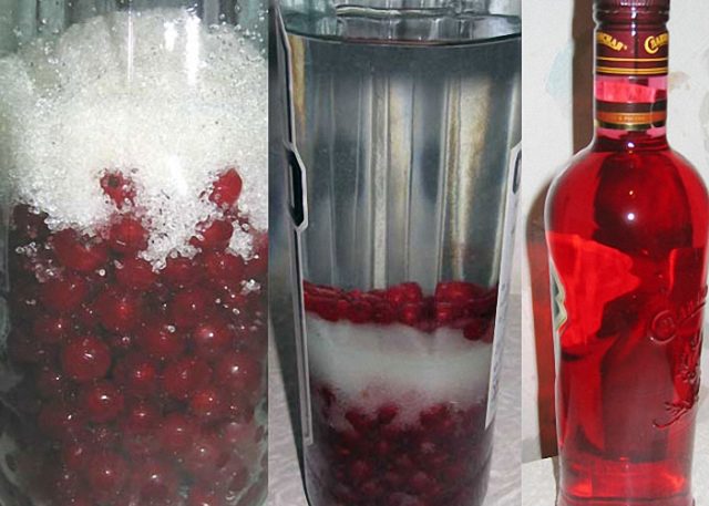 Домашня настоянка з червоної смородини: на горілці, спирту, самогонке