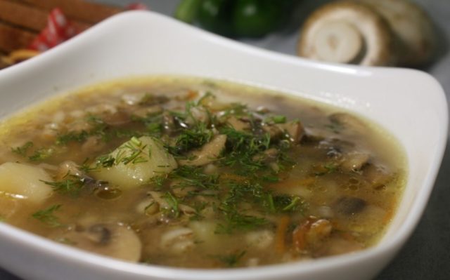 Грибний суп з вовнянок (грибниця): покрокові рецепти з фото, як зварити зі свіжих, солоних, заморожених грибів