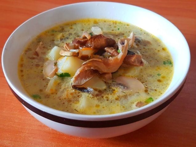Грибний суп з печериць з картоплею і вермішеллю: як приготувати з куркою, з свіжих, заморожених грибів, калорійність