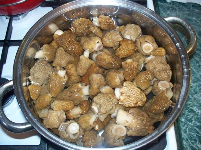 Мариновані гриби сморчки: як замаринувати, рецепти приготування