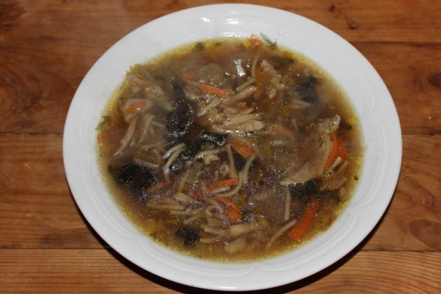 Суп з сушених опеньків: як варити, рецепти приготування з фото