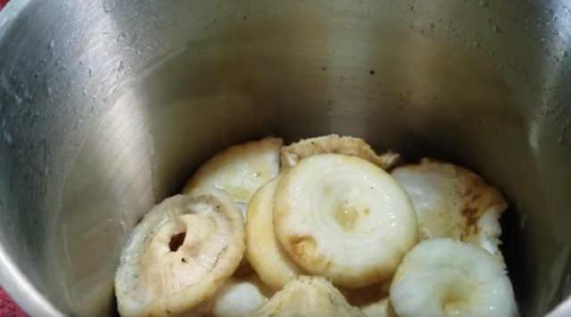 Засолювання білих груздів гарячим способом на зиму: найкращі рецепти з фото, відео, як солити в банках, в каструлі