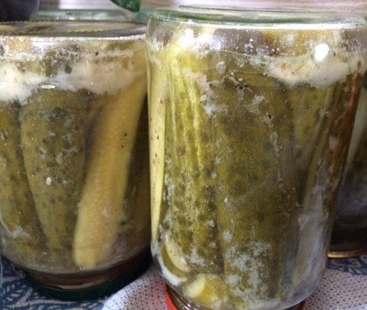 Мариновані огірки в гірчичній заливці: рецепти з фото маринування і соління на зиму, цілком, без стерилізації, відео, відгуки