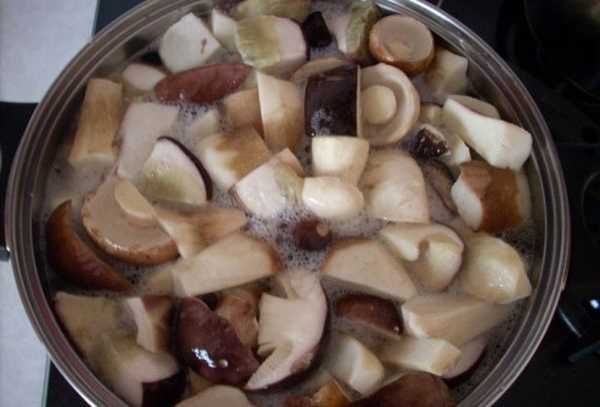 Скільки варити білі гриби: для смаження, варіння, заморожування, маринування, соління і консервування