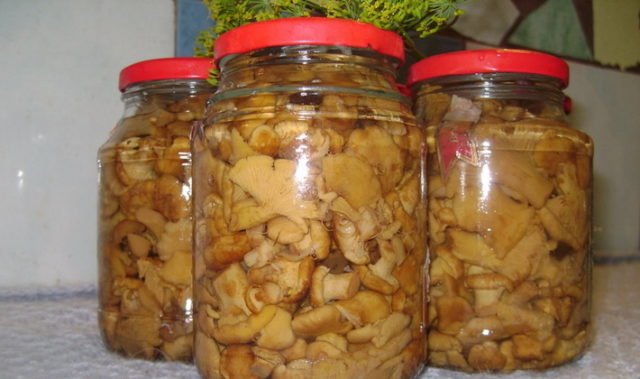 Мариновані лисички на зиму: рецепти приготування з цибулею, часником, опеньками