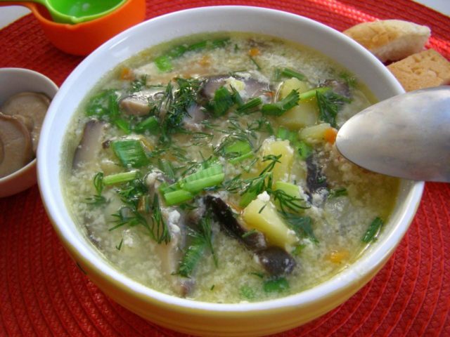 Суп з рижиків: солоних, заморожених, свіжих, сушених