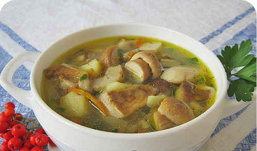 Суп зі свіжих білих грибів: з перловкою, куркою, вершками, в мультиварці