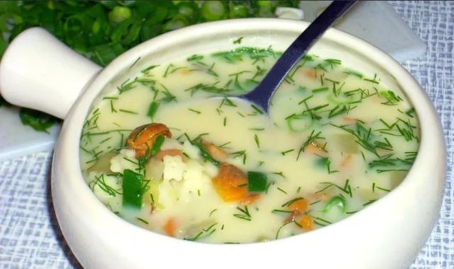 Груздянка зі свіжих груздів: як зварити суп, покрокові рецепти з фото