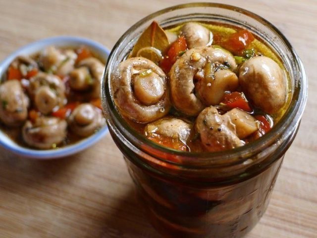Як солити гриби на зиму в домашніх умовах: рецепти соління, як смачно посолити гриби гарячим, холодним способом