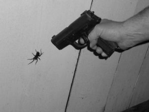 Що означає вбити павука – народні прикмети, можливі тлумачення