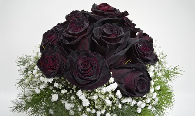 Чорна роза: До чого дарують і їх значення