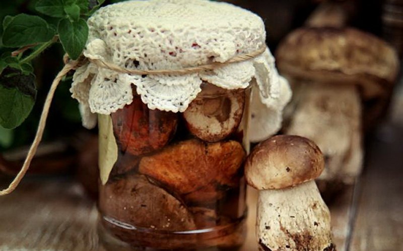 Мариновані білі гриби на зиму: як приготувати в банках, прості рецепти без стерилізації, фото і відео