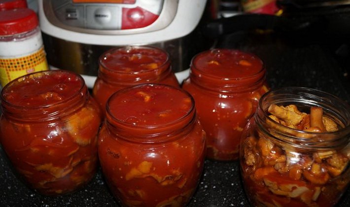 Опеньки в томатному соусі: як приготувати, рецепти на зиму з цибулею та морквою