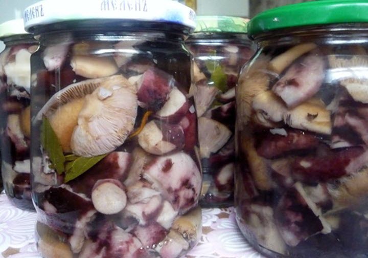 Рецепт маринування чорних груздів: маринад для грибів у банках, з оцтом на 1 літр води
