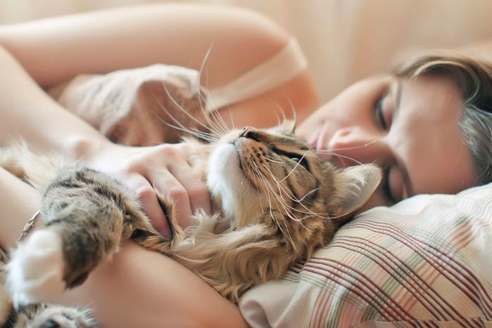 Що означає, якщо кішка спить у вашому ліжку, лягає в ногах, на живіт або на подушку біля голови