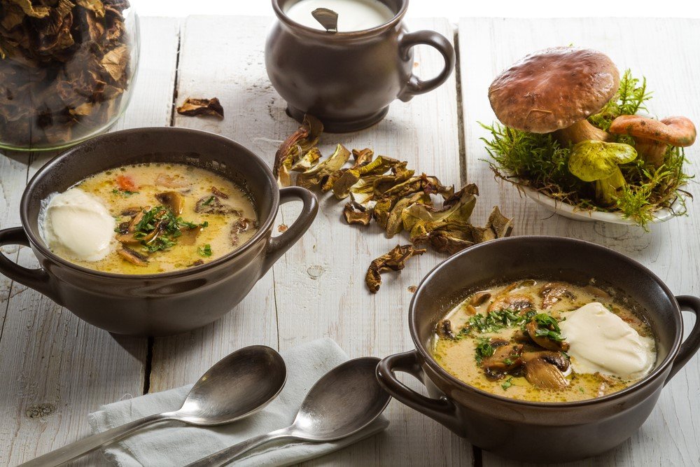 Суп із сушених грибів. Рецепти супів з подосиновиками і підберезники