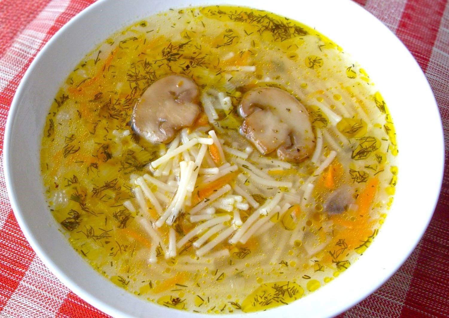 Суп із сушених грибів. Рецепти супів з подосиновиками і підберезники