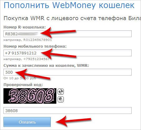 Як поповнити рахунок WebMoney? Покласти гроші на Вебмані швидко!