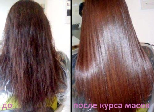 Лляне масло: користь і застосування для волосся. Маски з лляною олією