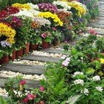 Садові доріжки з дерева: 100 красивих фото