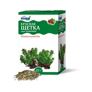 Унікальна рослина червона щітка – що лікує і як застосовувати?