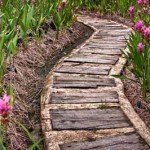 Садові доріжки з дерева: 100 красивих фото
