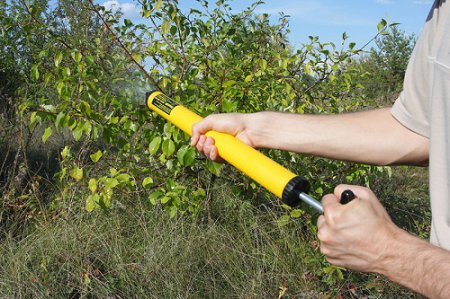 Обприскування плодових дерев   чим обприскувати плодові дерева навесні