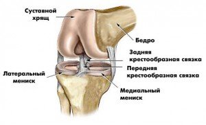 Біль у колінному суглобі