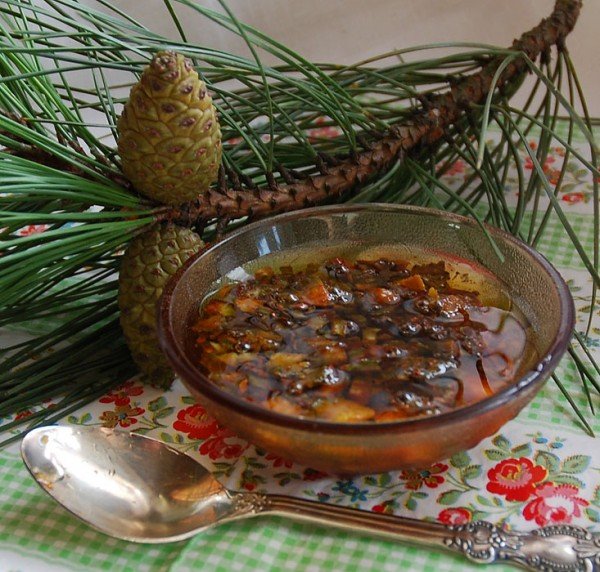 Лікування сосновими шишками Лікування сосновими шишками