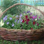 Дачна ділянка: 33 красивих квітника на дачі