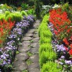Садові доріжки з дерева: 100 красивих фото