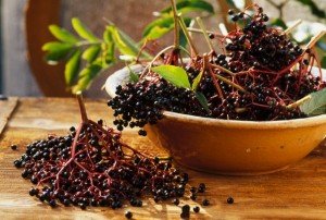 Лікування й профілактика остеохондрозу народними засобами